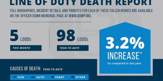 August LoDD