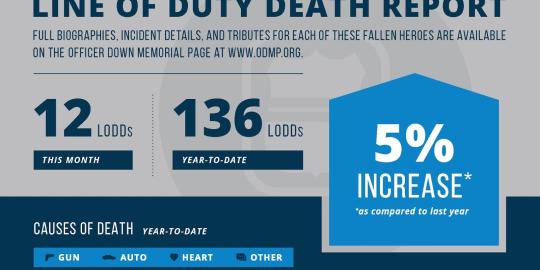 November LoDD 