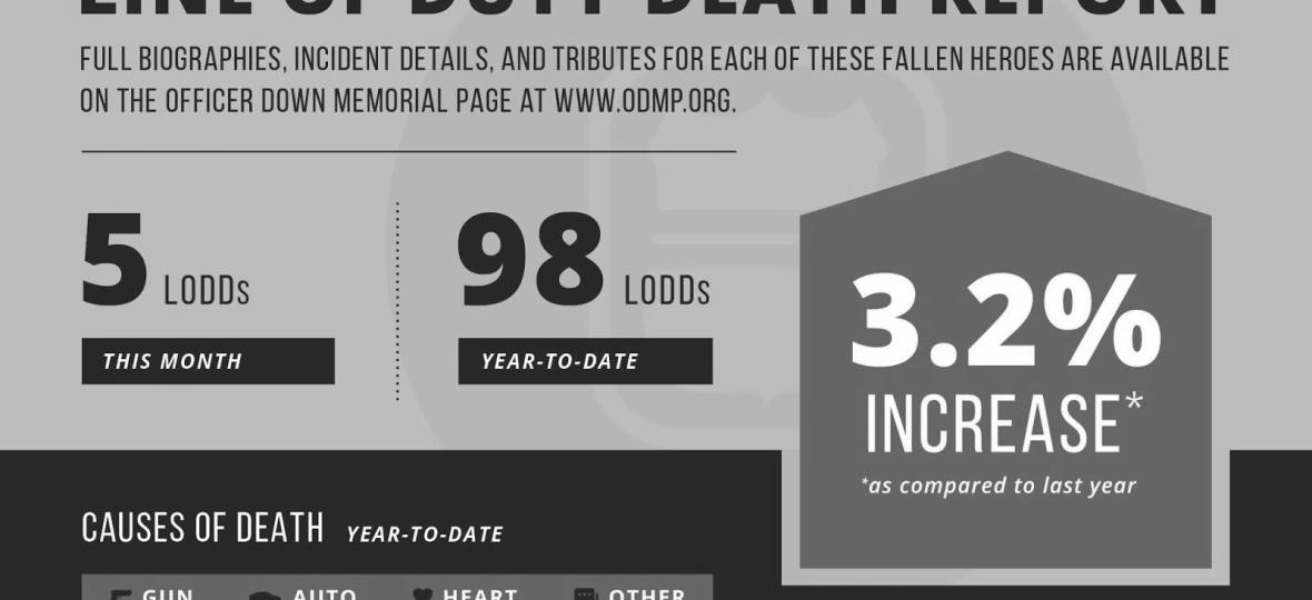 August LoDD